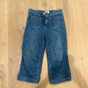 Paige Jeans Size 28 Nellie short wide leg